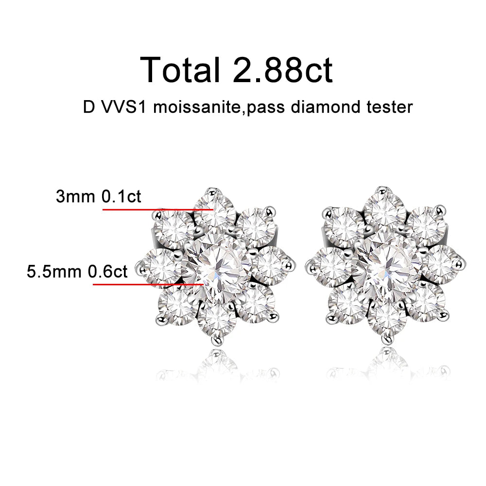 Stud Earrings — Moissanite, 925 Silver, detail view